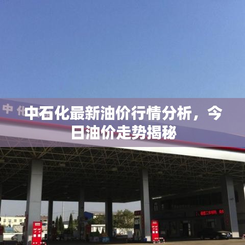 中石化最新油价行情分析，今日油价走势揭秘