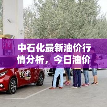 中石化最新油价行情分析,今日油价走势揭秘