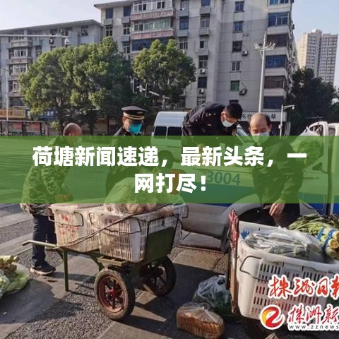 荷塘新闻速递，最新头条，一网打尽！