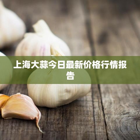 上海大蒜今日最新价格行情报告