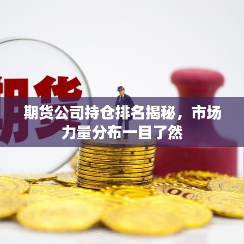 期货公司持仓排名揭秘,市场力量分布一目了然