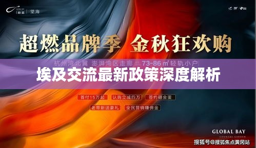 埃及交流最新政策深度解析