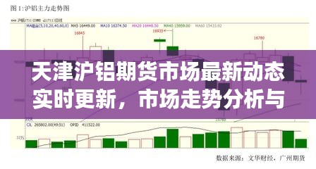 天津沪铝期货市场最新动态实时更新,市场走势分析与预测