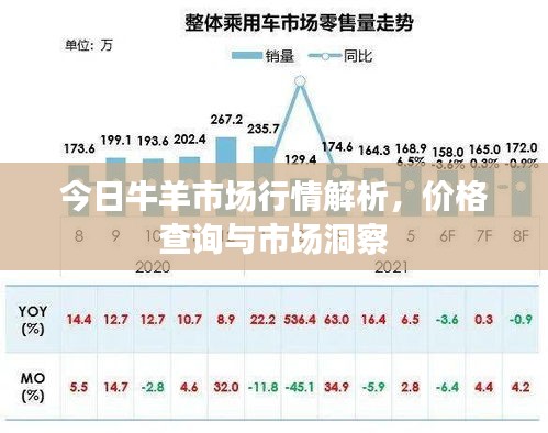 今日牛羊市场行情解析,价格查询与市场洞察