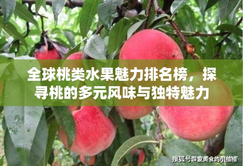 全球桃类水果魅力排名榜,探寻桃的多元风味与独特魅力
