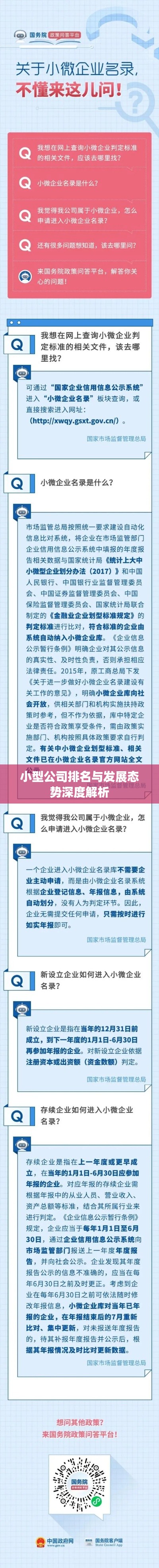 小型公司排名与发展态势深度解析