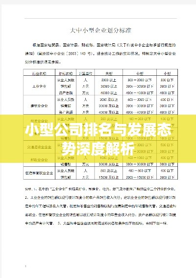小型公司排名与发展态势深度解析