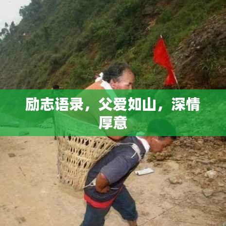 励志语录,父爱如山,深情厚意