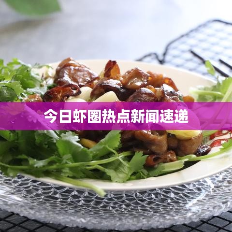 今日虾圈热点新闻速递