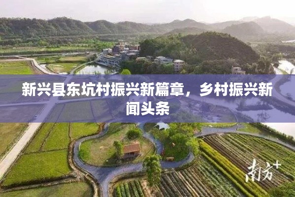 新兴县东坑村振兴新篇章,乡村振兴新闻头条