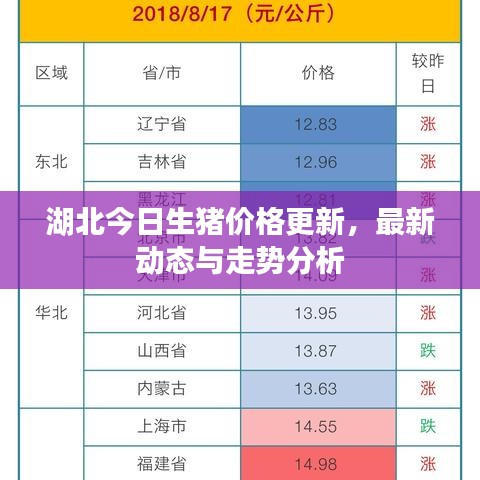 湖北今日生猪价格更新,最新动态与走势分析