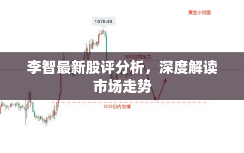 李智最新股评分析,深度解读市场走势