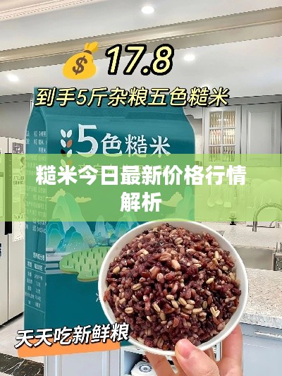 糙米今日最新价格行情解析
