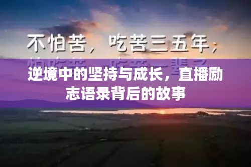 逆境中的坚持与成长,直播励志语录背后的故事