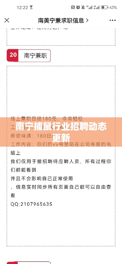 南宁捕鼠行业招聘动态更新
