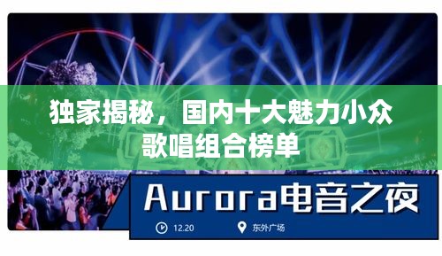 独家揭秘,国内十大魅力小众歌唱组合榜单