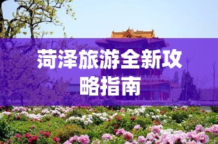 菏泽旅游全新攻略指南