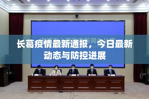 长葛疫情最新通报,今日最新动态与防控进展