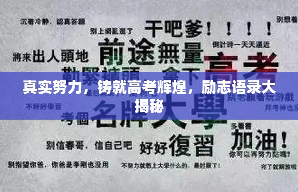 真实努力,铸就高考辉煌,励志语录大揭秘