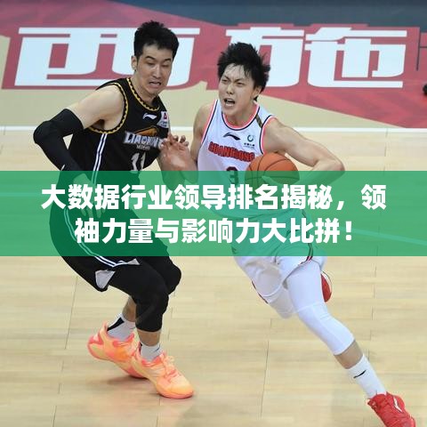 大数据行业领导排名揭秘,领袖力量与影响力大比拼!