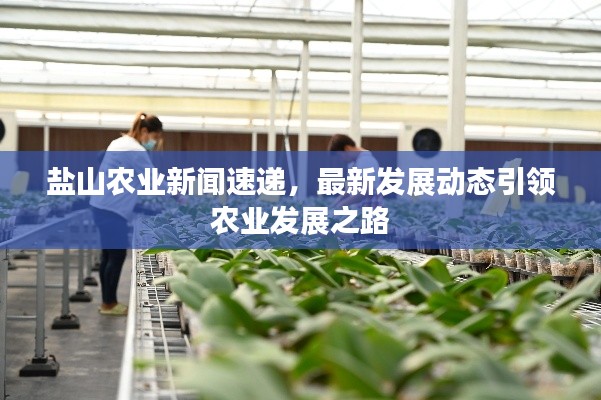 盐山农业新闻速递,最新发展动态引领农业发展之路