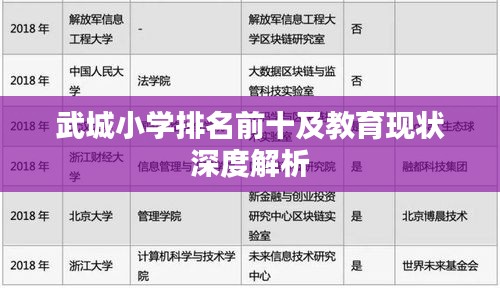 武城小学排名前十及教育现状深度解析