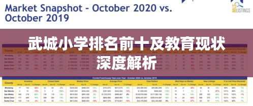 武城小学排名前十及教育现状深度解析