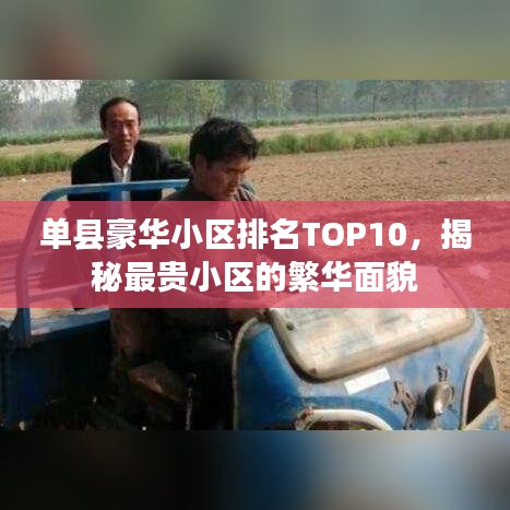 单县豪华小区排名TOP10,揭秘最贵小区的繁华面貌