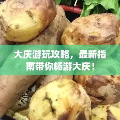 大庆游玩攻略,最新指南带你畅游大庆!