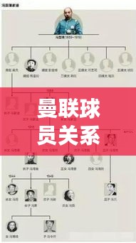 曼联球员关系图谱揭秘,最新球员关系图表大全!