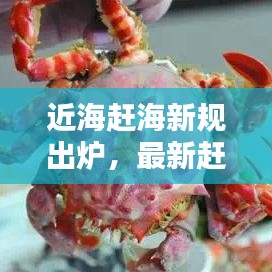 近海赶海新规出炉,最新赶海规定详解,今天必看!