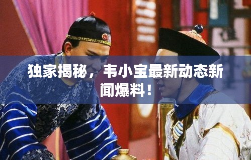 独家揭秘,韦小宝最新动态新闻爆料!