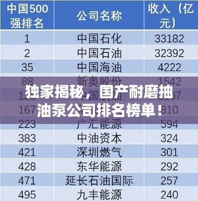 独家揭秘,国产耐磨抽油泵公司排名榜单!