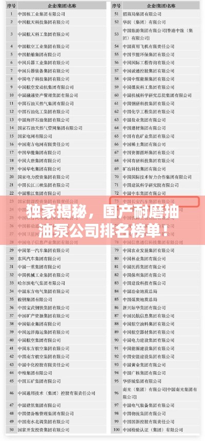 独家揭秘,国产耐磨抽油泵公司排名榜单!