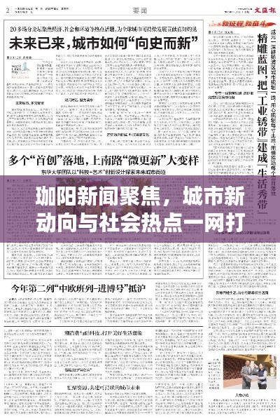 珈阳新闻聚焦，城市新动向与社会热点一网打尽解析