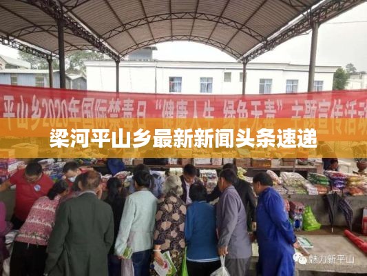 梁河平山乡最新新闻头条速递