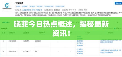 晓菲今日热点概述,揭秘最新资讯!