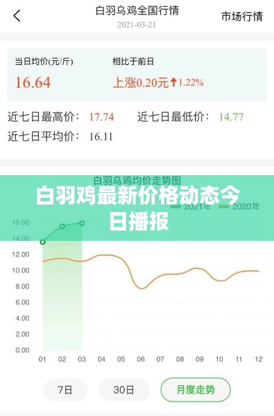 白羽鸡最新价格动态今日播报