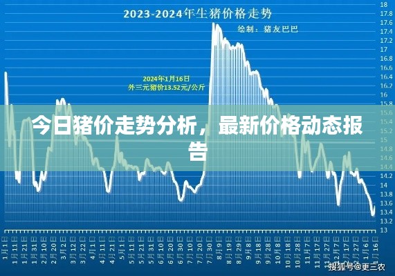 今日猪价走势分析,最新价格动态报告