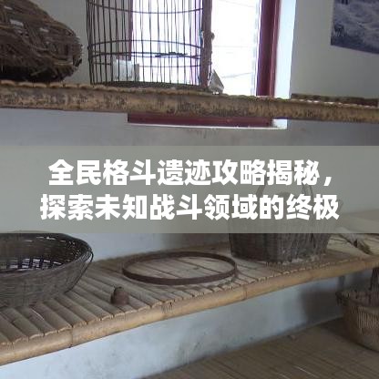 全民格斗遗迹攻略揭秘,探索未知战斗领域的终极指南