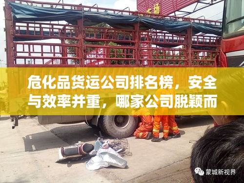 危化品货运公司排名榜,安全与效率并重,哪家公司脱颖而出?