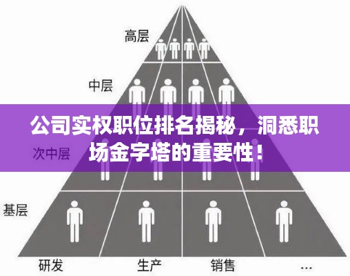 公司实权职位排名揭秘,洞悉职场金字塔的重要性!