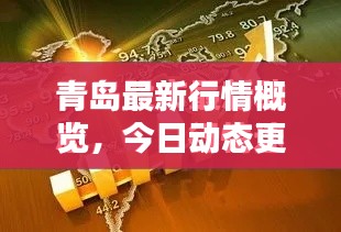 青岛最新行情概览,今日动态更新