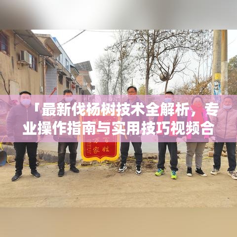 「最新伐杨树技术全解析,专业操作指南与实用技巧视频合集」