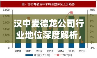 汉中麦德龙公司行业地位深度解析,排名分析揭示其竞争优势与地位