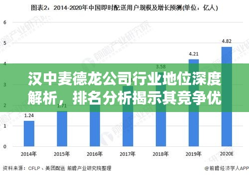 汉中麦德龙公司行业地位深度解析,排名分析揭示其竞争优势与地位