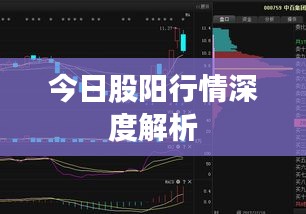 今日股阳行情深度解析