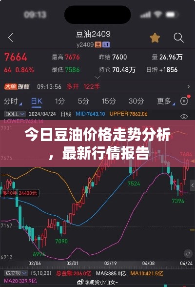 今日豆油价格走势分析,最新行情报告