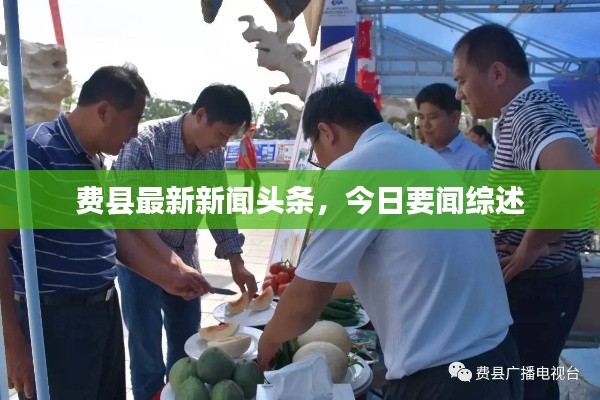 费县最新新闻头条,今日要闻综述