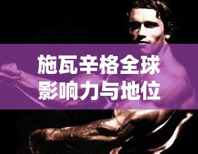 施瓦辛格全球影响力与地位排名揭秘